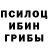 Галлюциногенные грибы Psilocybine cubensis ME GV